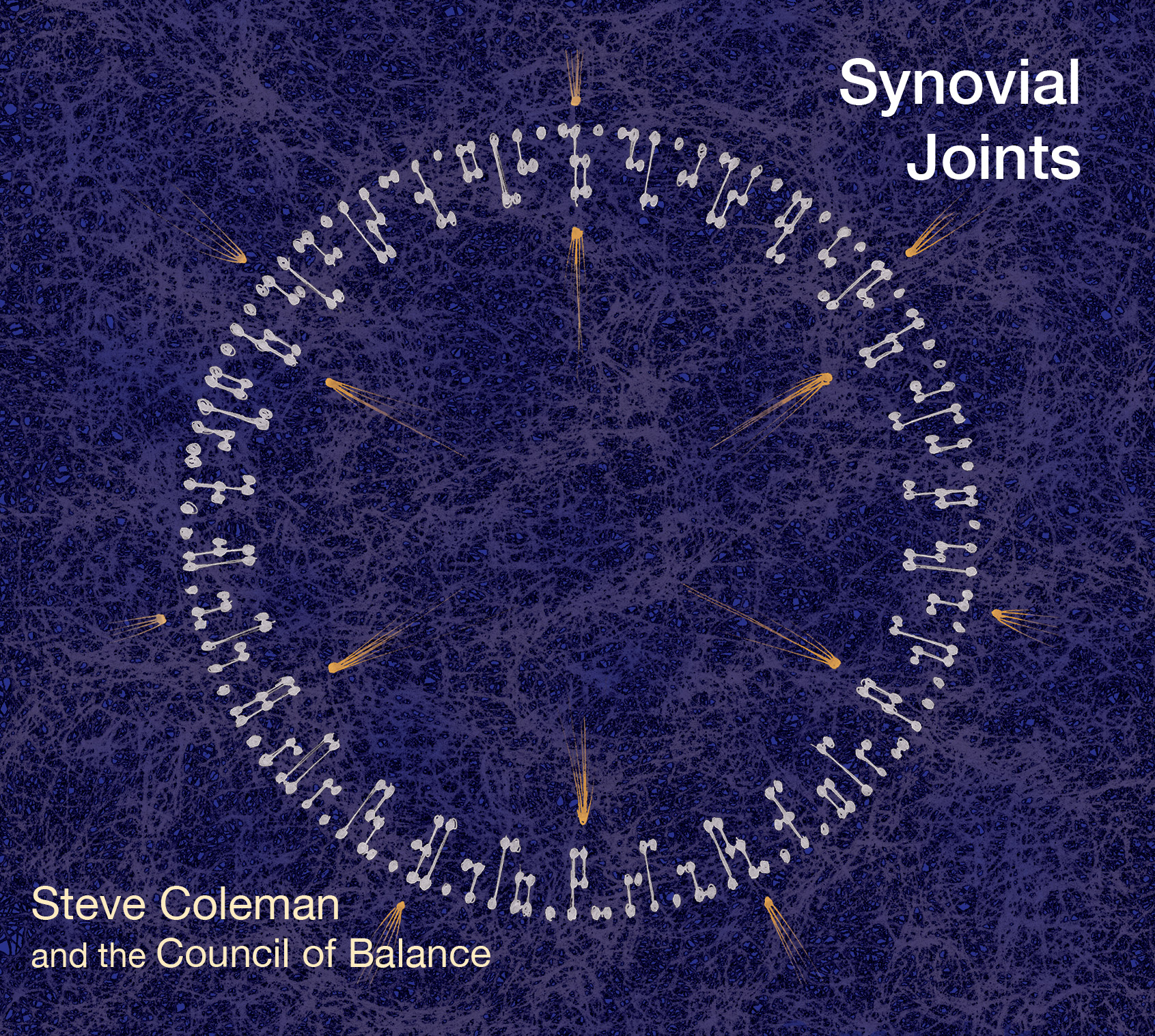 Steve Coleman and the Council of Balance - Synovial Joints